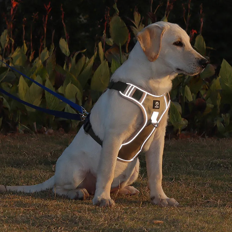 Harnais pour chien | réfléchissant - BelHarness™