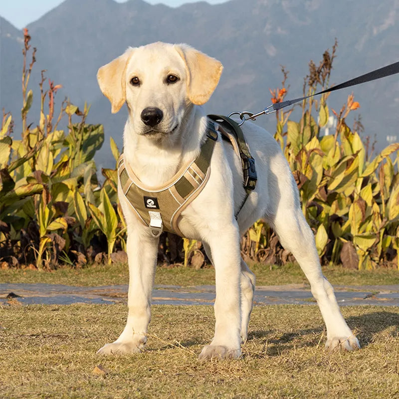 Harnais pour chien | réfléchissant - BelHarness™