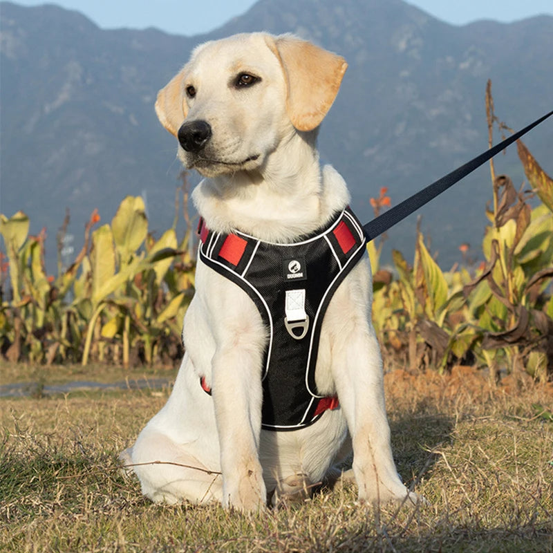 Harnais pour chien | réfléchissant - BelHarness™