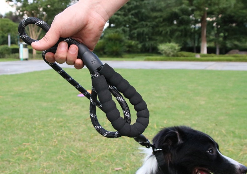 Laisse pour chien | anti traction