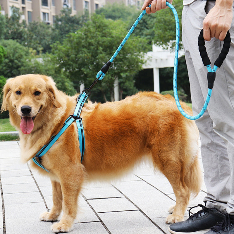 Laisse pour chien | anti traction