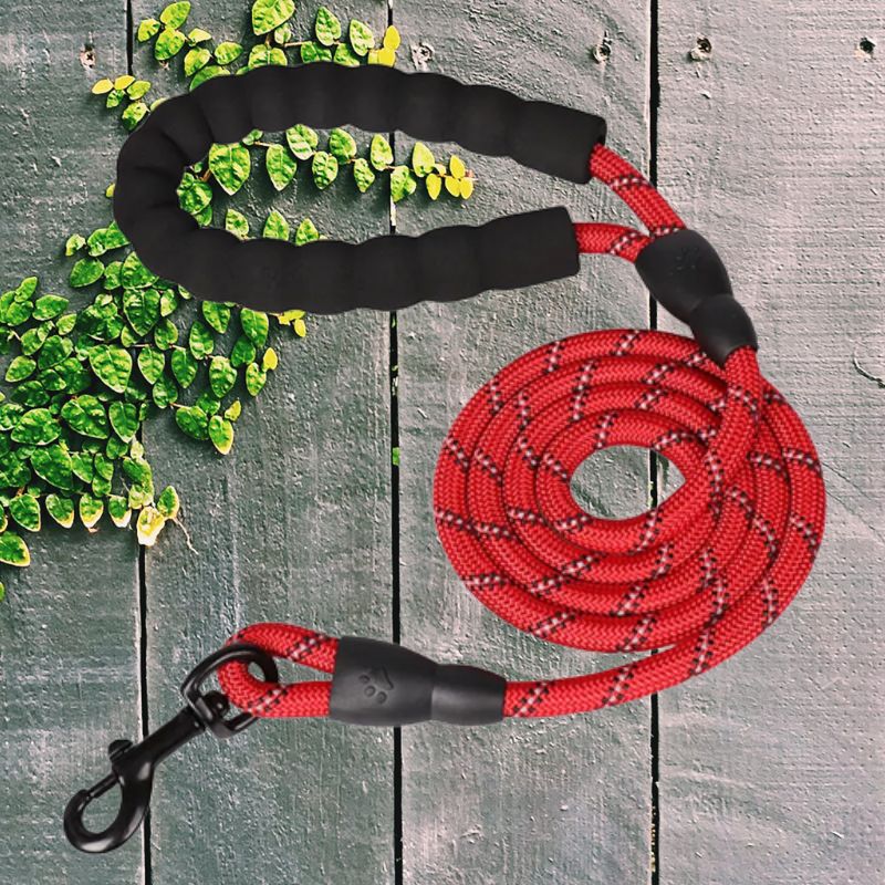 Laisse pour chien | anti traction