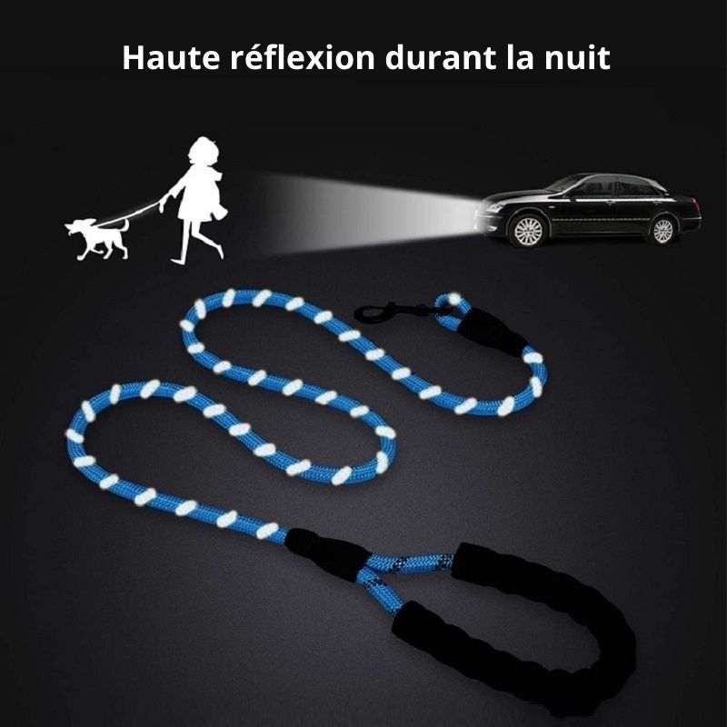 Laisse pour chien | anti traction