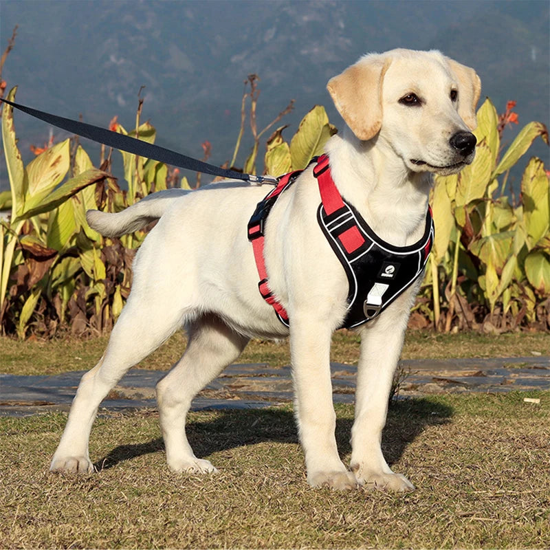 Harnais pour chien | réfléchissant - BelHarness™