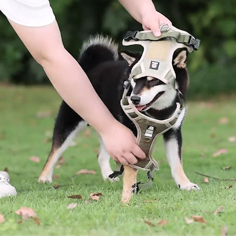 Harnais pour chien | réfléchissant - BelHarness™