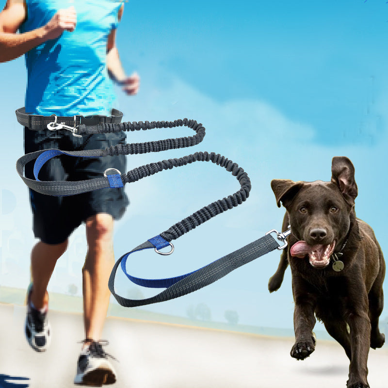 Laisse rétractable mains libres pour chiens | JogPet™ - Le Canin Pro