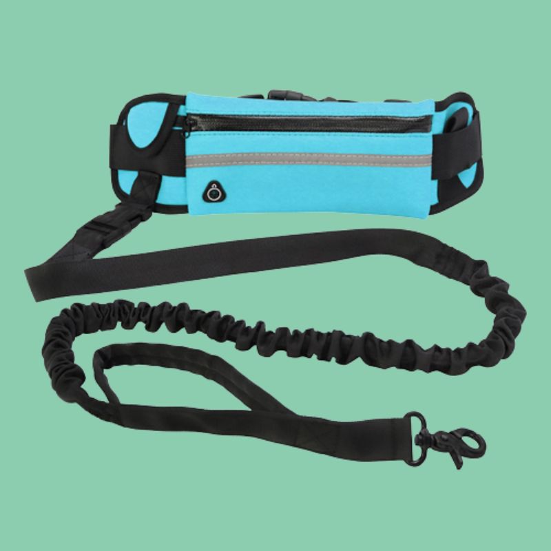 Laisse rétractable mains libres pour chiens | JogPet™ - Le Canin Pro