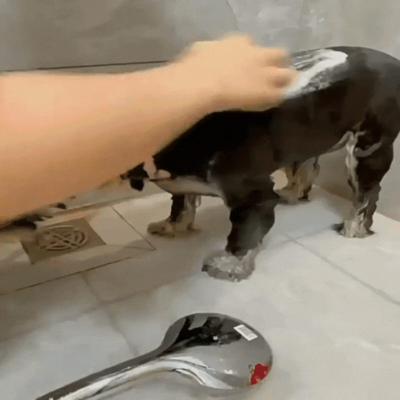 Toilettage chien