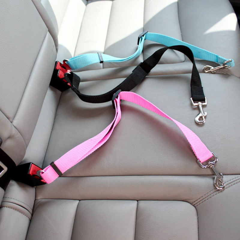 Ceinture de siège pour animal de compagnie | BeltPet™ - Le Canin Pro