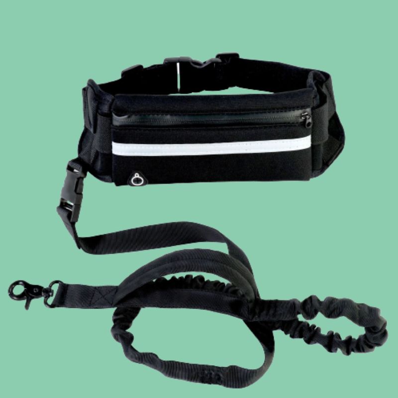 Laisse rétractable mains libres pour chiens | JogPet™ - Le Canin Pro