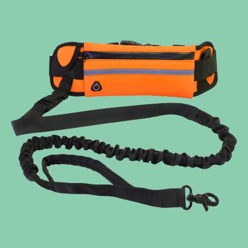 Laisse rétractable mains libres pour chiens | JogPet™ - Le Canin Pro