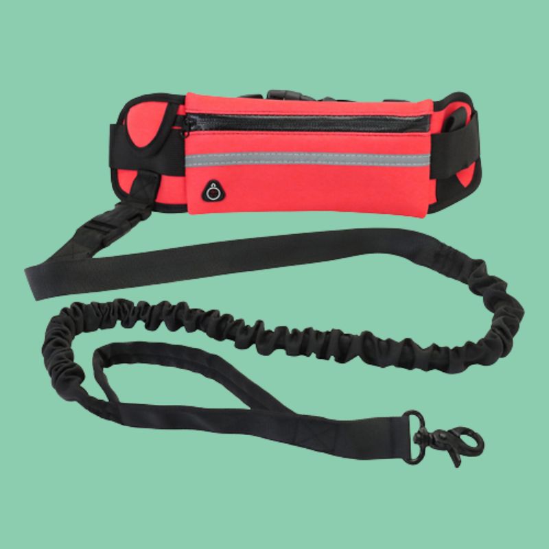 Laisse rétractable mains libres pour chiens | JogPet™ - Le Canin Pro