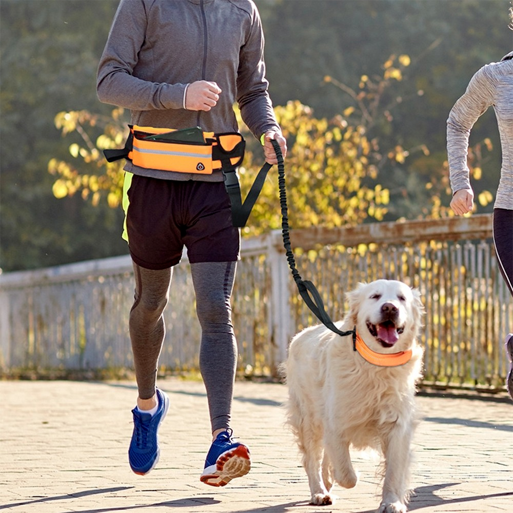 Laisse rétractable mains libres pour chiens
