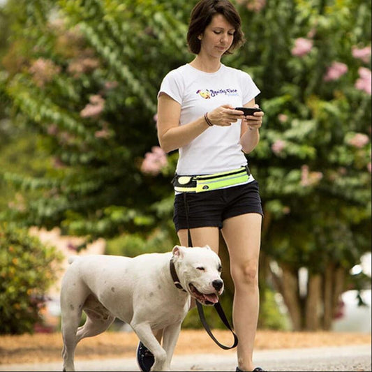 L'Art de la Promenade avec votre chien