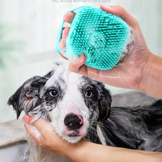 Brosse pour chien | Bain - Toilettage - GroomPet™