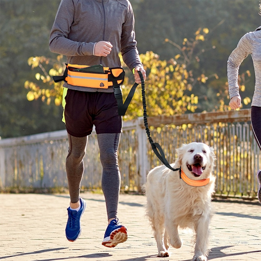 Laisse rétractable mains libres pour chiens 