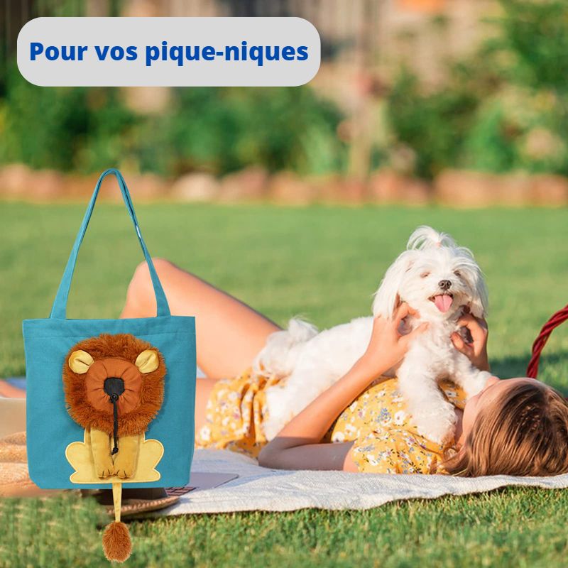 sac de transport pour chiens